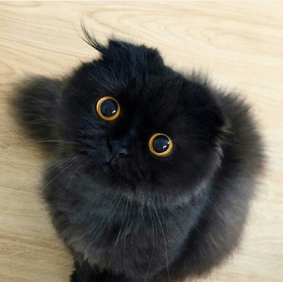 Other Other - NEW ITEMS NOTIFICATION